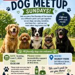 GVAD_Dog_meetup_flyer_