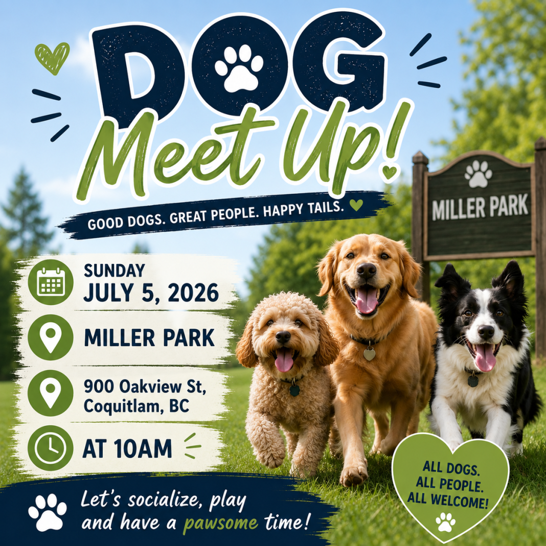 GVAD Dog meet up GVAD Dog meet up flyer with 3 dogs, green and blue colors