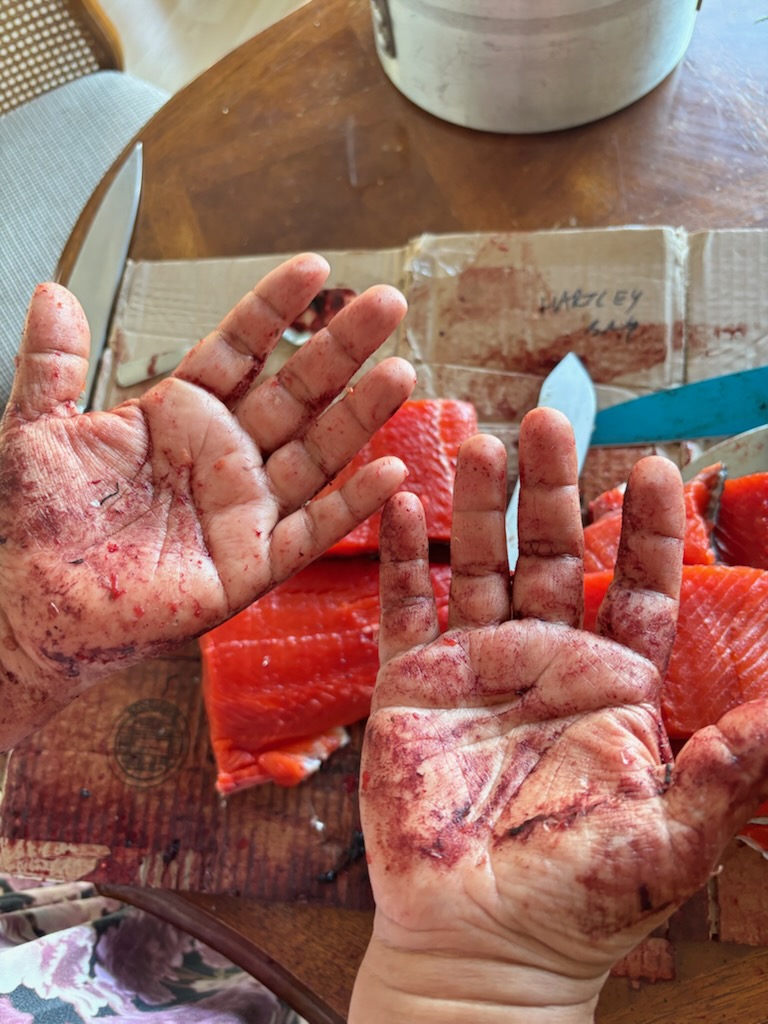 A_Courtesy of Skeena Reece Hands with cuts and blood held over cut salmon fillets and a knife on bloodied cardboard.